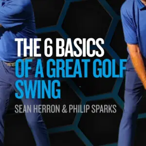 The Six Basics Of A Great Golf Swing